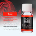 Plant Aromatherapy Oil for Diffuser Humidifier Household/Vehicles Air Freshener Fragrance/Essential Oil Car Interier Accessories
